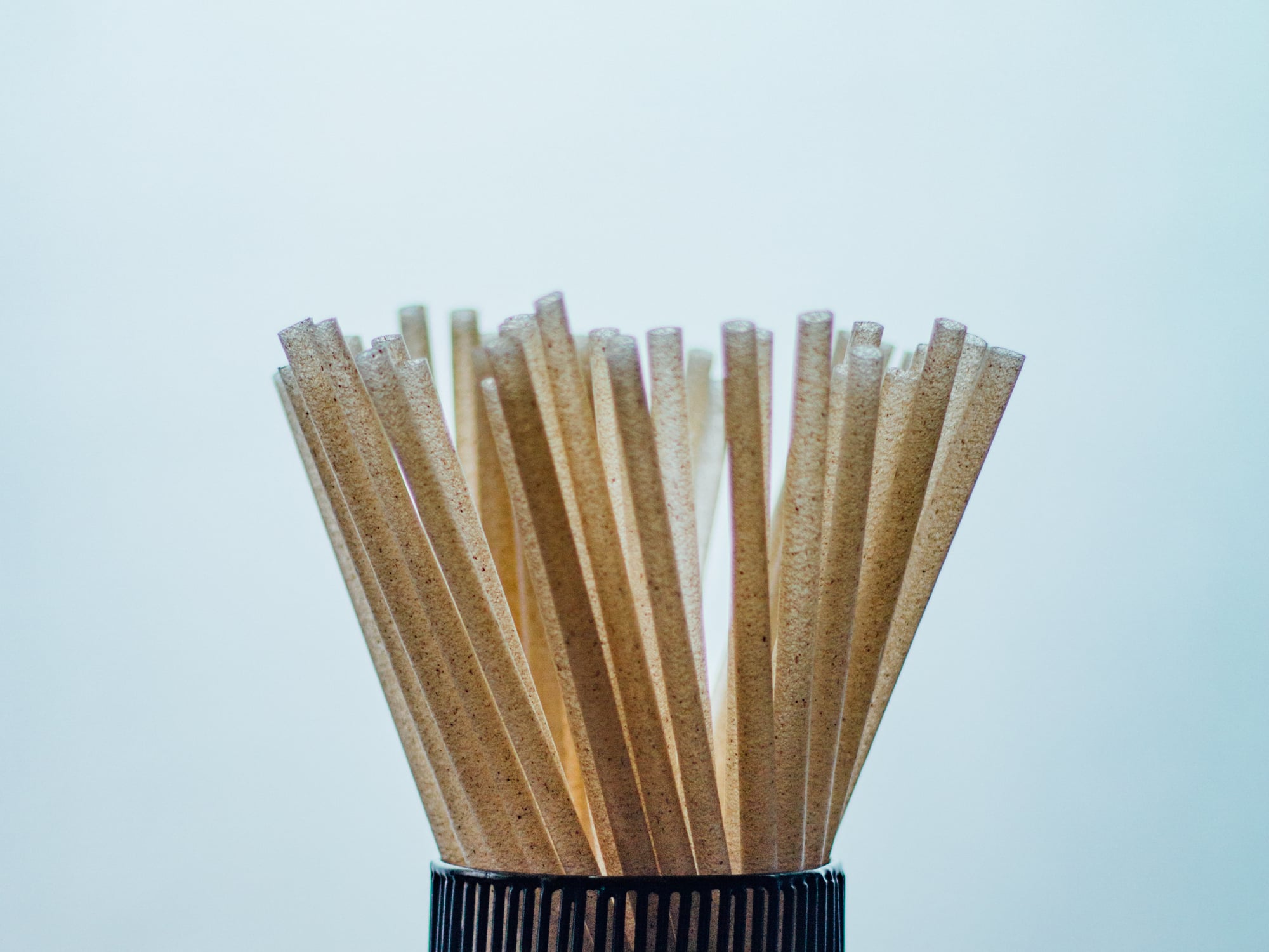Close up of plastic-free straw alternatives